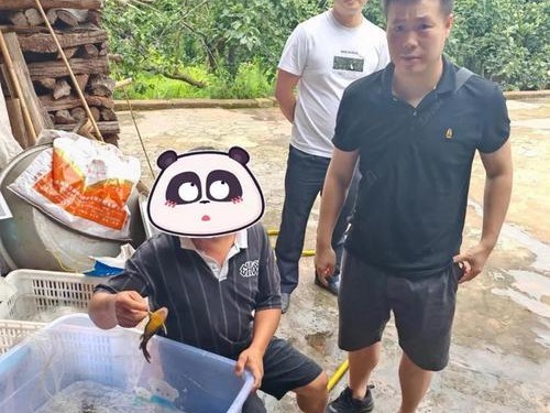 探秘雷波县金沙江的钓鱼之乐（畅游金沙江，享受钓鱼狂欢）