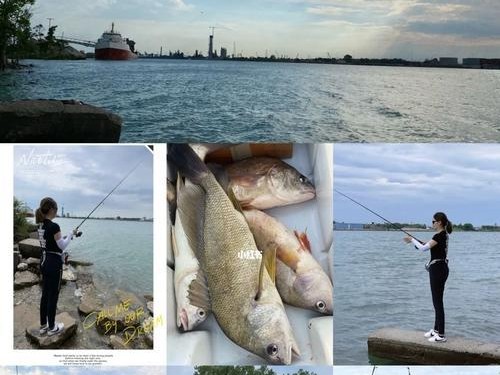 冬季海边路亚钓鱼的技巧与经验（探寻海岸线上的冬季钓鱼宝地，尽享路亚钓鱼乐趣）