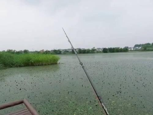 探寻双流区周边水库的丰富钓鱼点（发现宝藏鱼踪，畅享路亚钓鱼之旅）