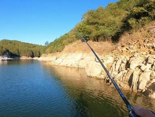 路亚钓鱼的最佳时间及技巧（探寻钓鱼黄金时间，以路亚竿为利器捕获丰富鱼群）