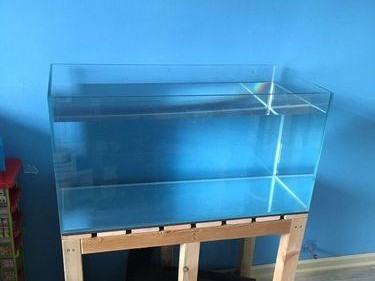 用路亚竿钓鱼用水缸做鱼缸,快速DIY养鱼新方式(以空闲的水缸打造个人化鱼缸,满足钓鱼爱好者的养鱼需求)