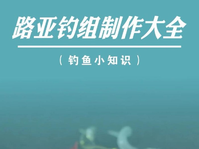 路亚鱼竿（解析路亚鱼竿的特点和适用范围，助你成为顶尖钓鱼者）