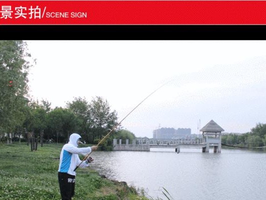 白河湾钓鱼指南（选择路亚还是手竿，探寻最佳钓鱼方式）