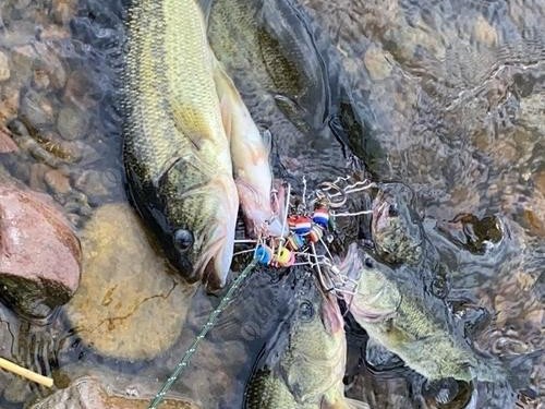 海里面用路亚好钓鱼吗？（探索在海里使用路亚作钓的有效性与技巧）