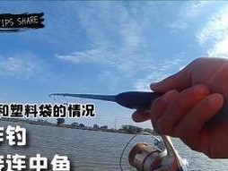 新手路亚钓鱼技巧与方法大全（实用技巧与经验分享，助你成为优秀路亚钓手）