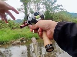 解决路亚钓鱼不咬钩的问题（提升路亚钓鱼效果的关键技巧）