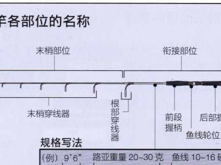 新手如何操作路亚竿钓鱼？（路亚钓法入门指南，让你成为钓鱼高手！）