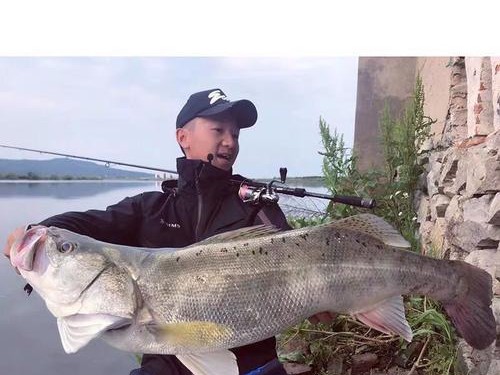 美夏路亚低俗钓鱼产品（颠覆传统钓鱼方式，探索激情无限的路亚低俗钓鱼世界）