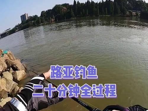 如何选择适合路亚钓鱼的地点（以路亚钓鱼前需要找地的重要性及选择要点）