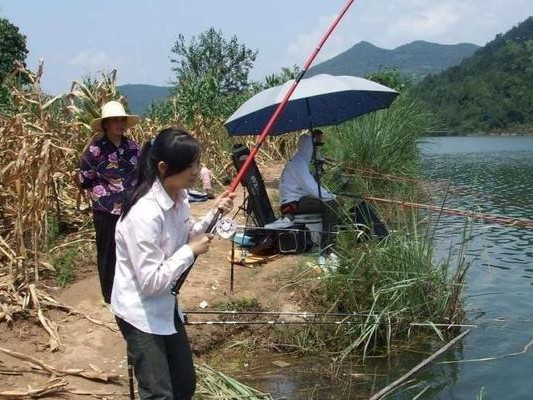 探索路亚在大水面钓鱼的技巧与经验（挑战大水面，路亚钓鱼的乐趣与技巧）