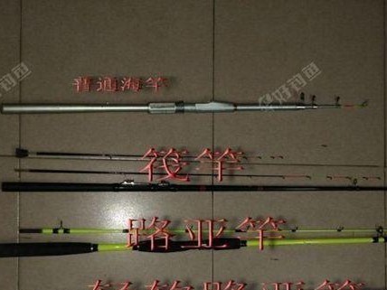 路亚钓鱼（以路亚竿为工具，选择合适的钓鱼方式）