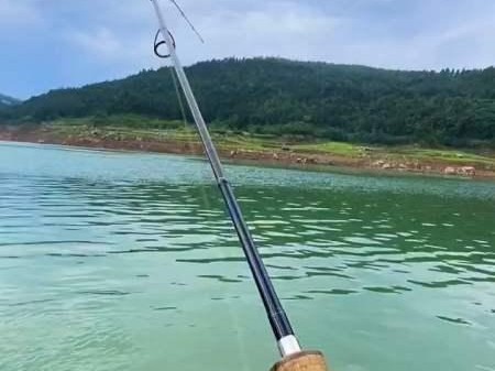 选择合适长度的海钓路亚竿（提升钓鱼效果的关键是什么？）