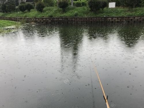 雨天路亚钓鱼的技巧与经验（掌握技巧，收获满满）