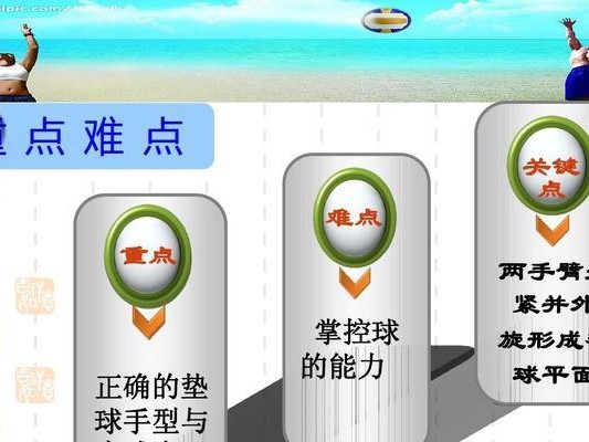 边牧打排球技术要领（以边牧为伴，畅享排球乐趣）