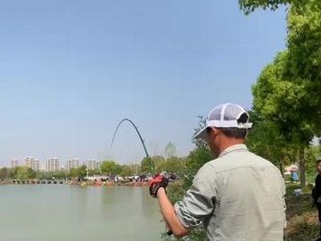 乐平市路亚黑坑钓鱼地点全面解析（探寻乐平市最佳路亚黑坑钓鱼点位，让你的钓鱼之旅更加完美）