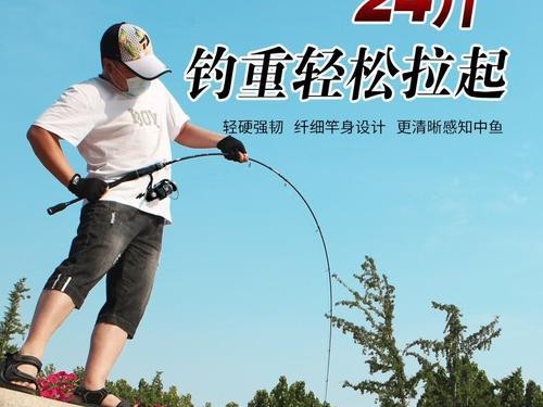 马口路亚竿钓鱼入门教学（掌握马口路亚竿钓鱼的技巧和要点）