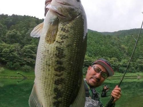 夏日傍晚，路亚钓鱼的绝佳时光（探寻钓鱼技巧，解析午后四五点钟的奥秘）