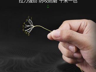 路亚钓鱼竿子线绑法详解（掌握正确绑法，提升路亚钓鱼成功率）