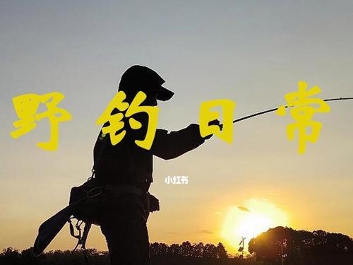 现代钓鱼爱好者为何钟情于路亚钓法？（探索路亚钓法的魅力及其在钓鱼界的影响力）
