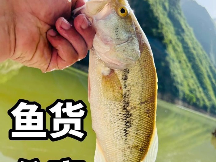 自制路亚饵钓鱼，体验乐趣无限（用心打造，享受捕获的喜悦）