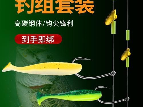 为何禁止钓鱼一线一钩路亚？（保护水域生态平衡，实现可持续发展）