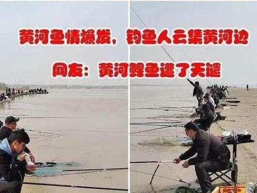 黄河边钓鱼的乐趣与技巧（探寻路亚在黄河钓鱼中的应用及优势）